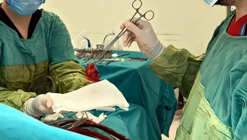 Kalp Ameliyatı: 7 Saat Süren Operasyon, Doktorlardan "Mucize" Değerlendirmesi Aldı