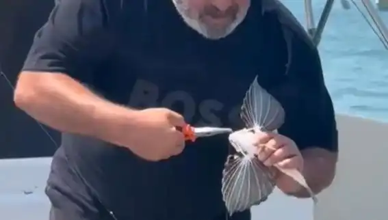 Saros'ta Nadir Kırlangıç Balığı Yakalandı: Bu Kez Cennet Kıyısında!