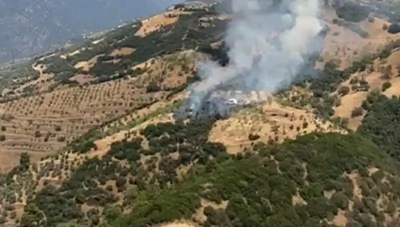 Aydın'daki Zeytinlik Yangını, Tarımsal Varlıkları Tehdit Ediyor