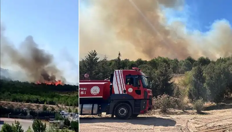 Gebze'de Orman Yangını: Doğa Alanında Korkutan Yangın
