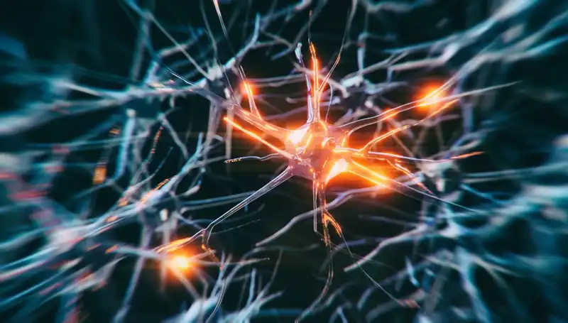 Alzheimer Vakalarında Son Dönemdeki Endişe Verici Artışın Nedenleri