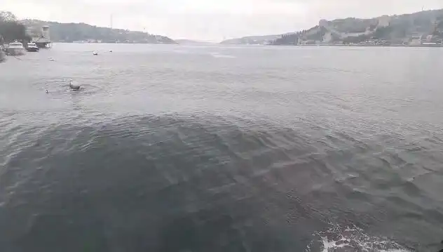 İstanbul Boğazı'nda Yükselen Dalgalar, Hayatları Nasıl Etkiliyor?