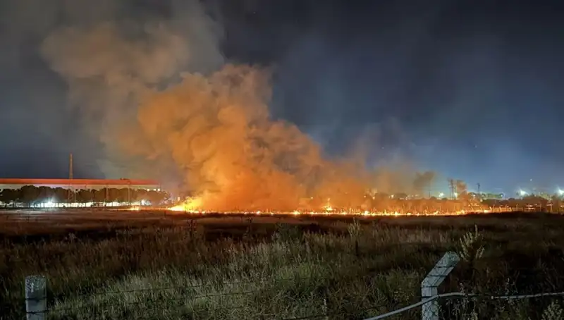 İzmir'de Gece Yarısı Yangın Paniği: Alevler Kısa Sürede Kontrol Altına Alındı