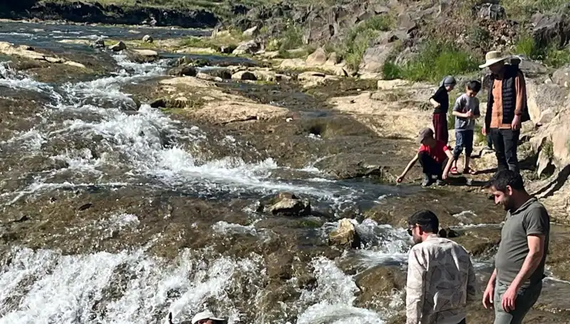 İnci Kefalinin Göçü: Doğanın Harikası, Turistlerin Gözdesi Haline Geldi!