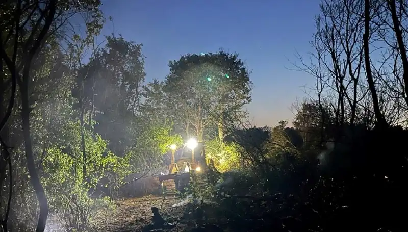 Edirne'de Orman Yangını Kontrol Altına Alındı: Doğa Kurtarıldı