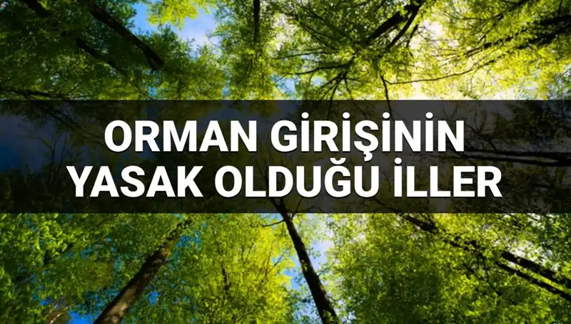2025'te Orman Girişine Yasaklanan İller Hangileri?