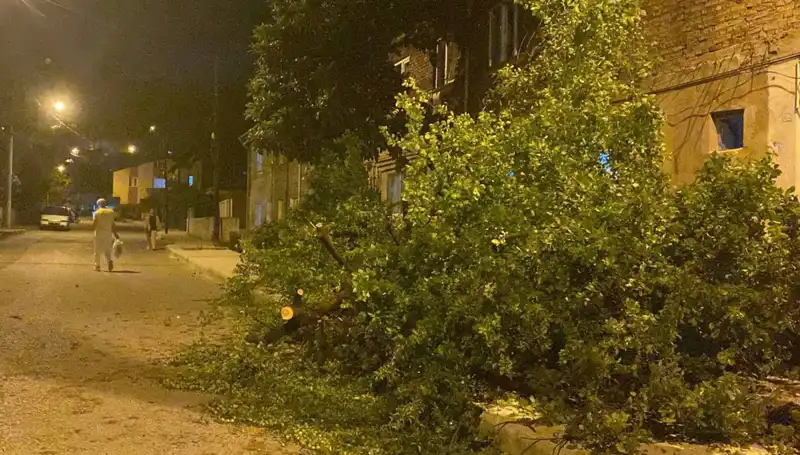 Karabük’te Fırtına: Sonuçları ve Alınan Önlemler