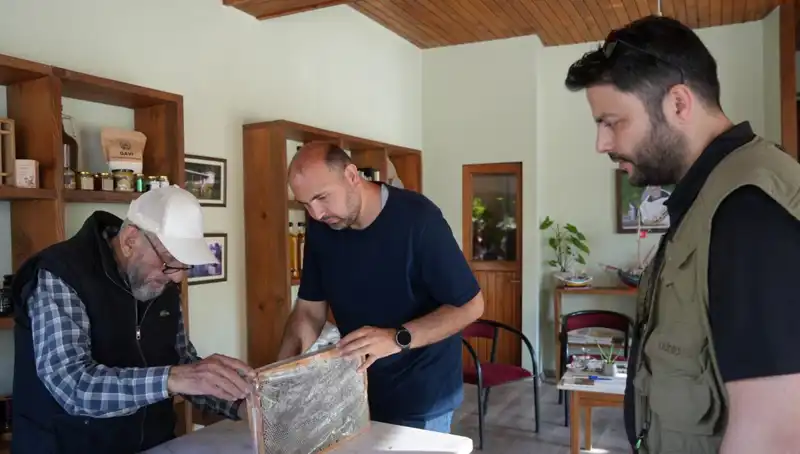 Hem Şifa Hem de Zehir: Dikkatli Tüketilmesi Gereken Bu Besin