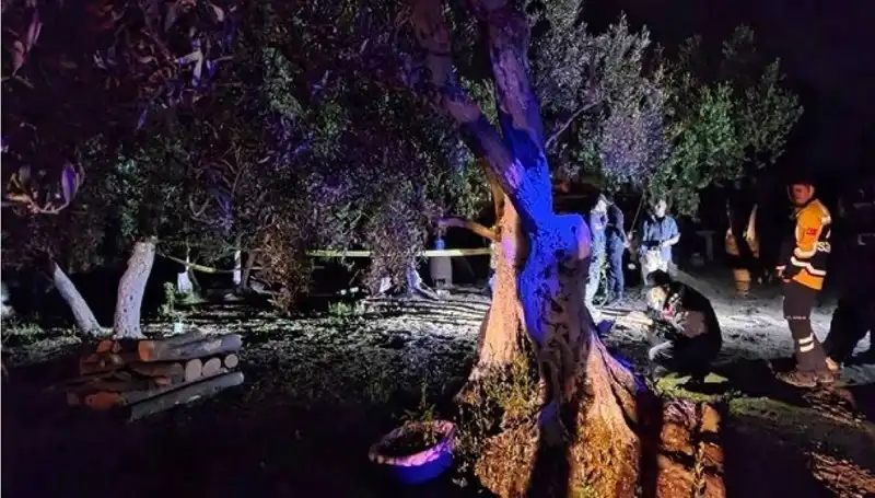Çiftlikte Baltalı Vahşet: Olayın Ardındaki Gizem ve Tutuklama Detayları