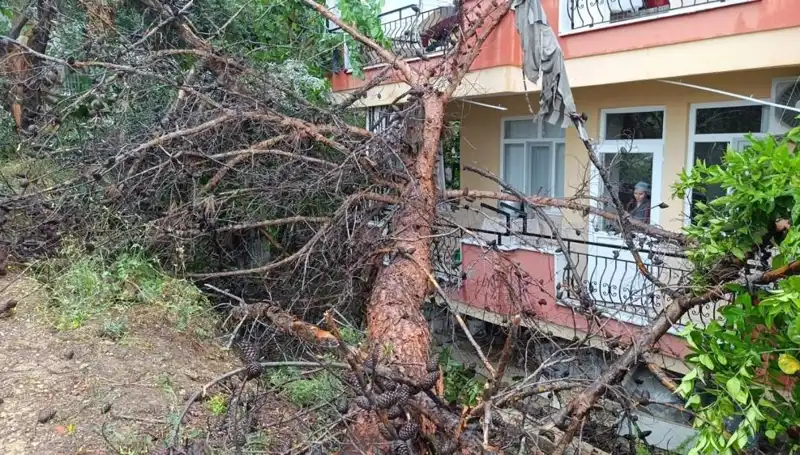 Yağmurun Sonucu: Devasa Bina Sulara Yenik Düştü