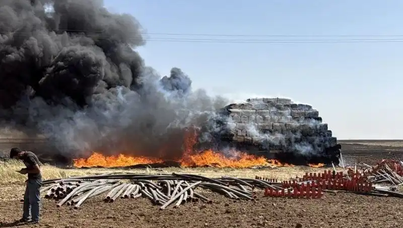 Mardin'de Anız Yangını: Tarım Alanları Tehlikeye Girdi