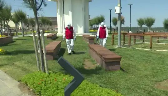 Kene Tehlikesi Artıyor: Halka Açık Alanlarda İlaçlama Uygulamaları Başladı