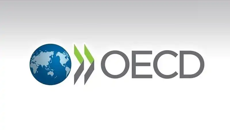 Türkiye’nin Ekonomik Büyüme Tahmini: OECD'nin Son Raporunda Neler Var?