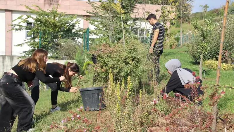 Düzce’nin Yerel Ürünü, Dünya Çapında Tanınırlık Kazandı