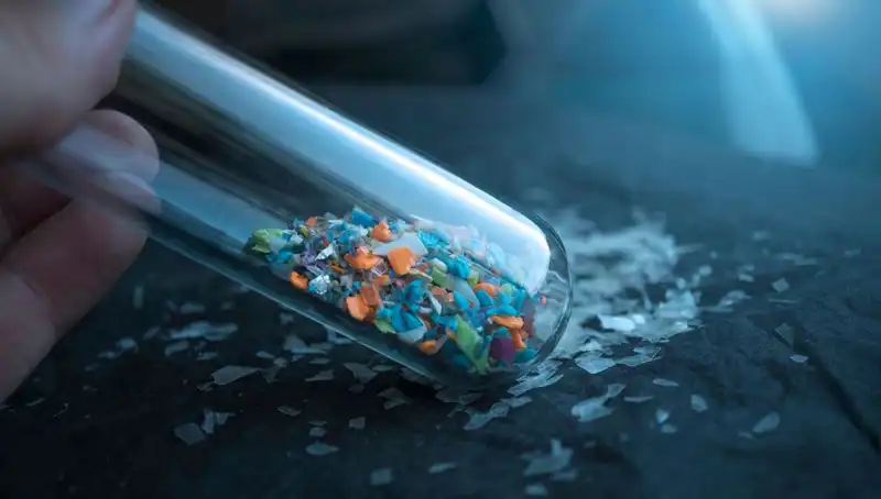 Mikroplastikler insan beynine kadar ulaşıyor! Sağlığımızı nasıl etkiliyor?