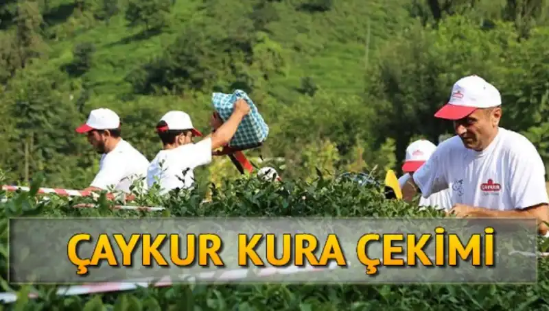 Çaykur Canlı Kura Sayfası: İsim Listesine Erişmenin Yolları