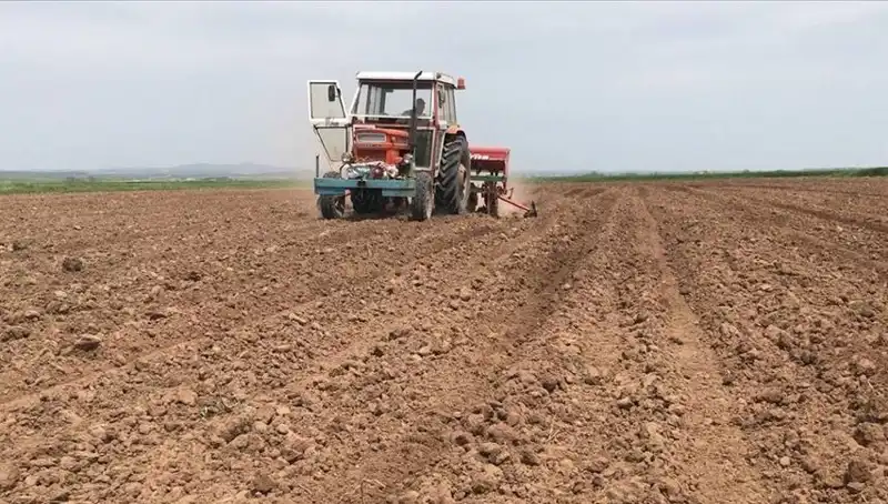 Son 35 Yılın En Kurak Mart'ı: Yağışlar Yüzde 59 Düştü
