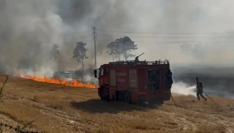 Kırklareli'nde Anız Yangını: Doğaya ve Hayata Etkileri Neler?
