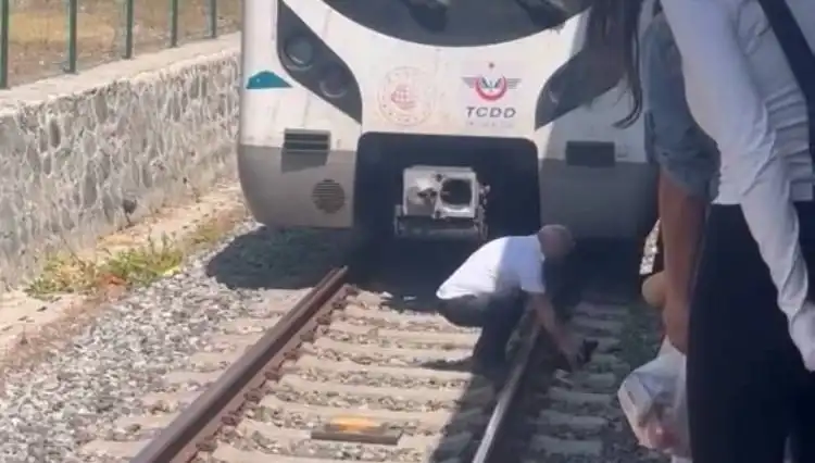 Marmaray Makinisti Raylardaki Kediyi Gördü ve Treni Durdurdu