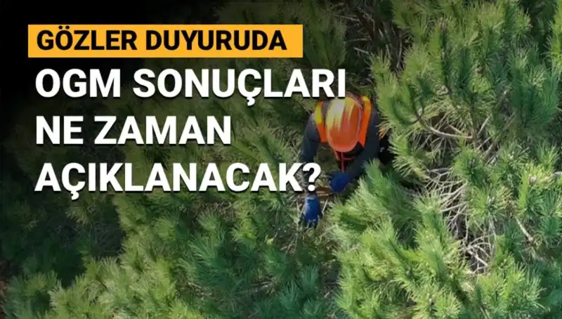 OGM Personel Alımı: 3.477 Sözleşmeli Pozisyon için Başvuru Sonuçları Ne Zaman Açıklanacak?